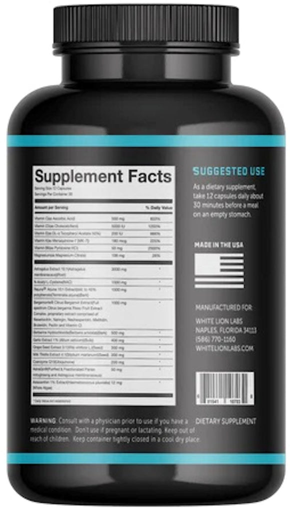 HEART+ORGAN Support back