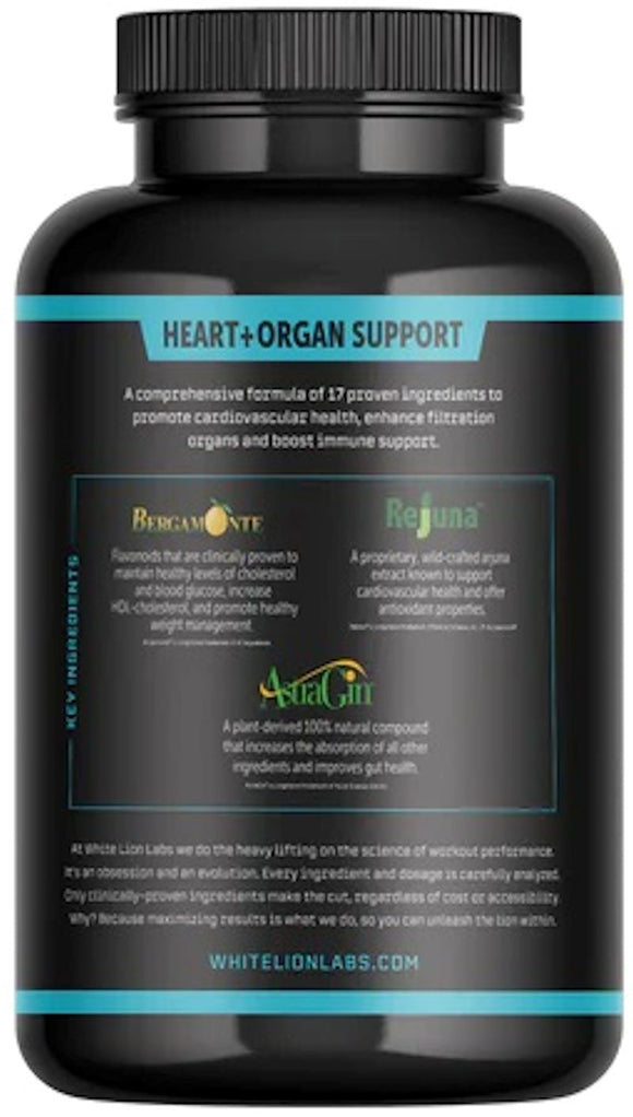HEART+ORGAN Support side
