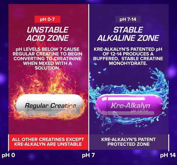 EFX Sports Kre-Alkalyn 240 Caps