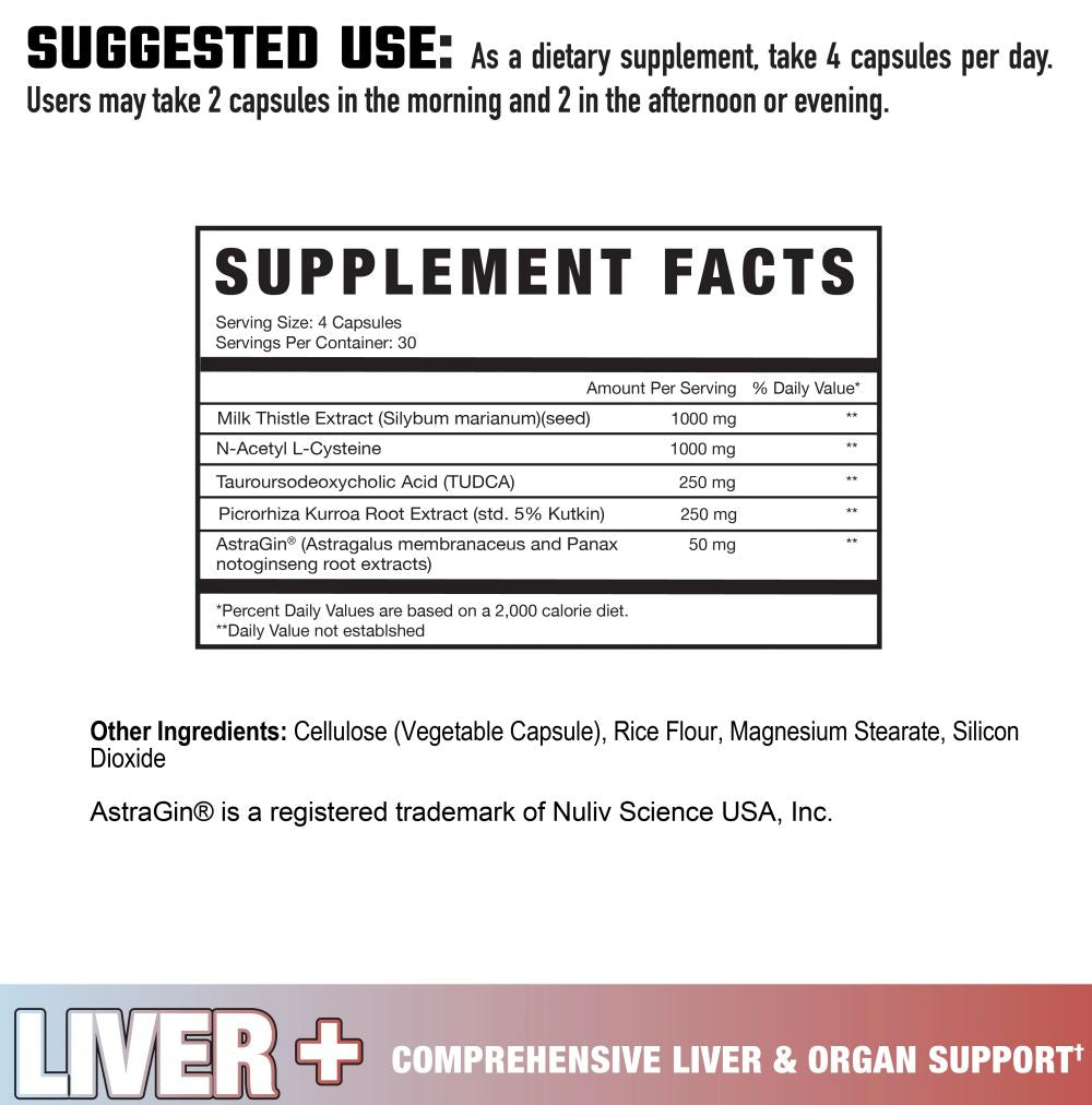 Axe & Sledge LIVER+ enhance fact