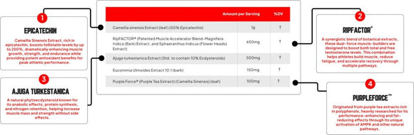Enhanced Labs Muscle Pro | Muscle Growth banner