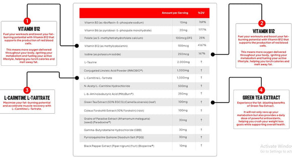 Enhanced Labs All Day Shred Fat Burner Pre-Workout 30 servings banner