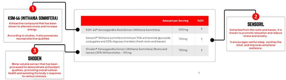Enhanced Labs Ashwagandha Increase Performance banner
