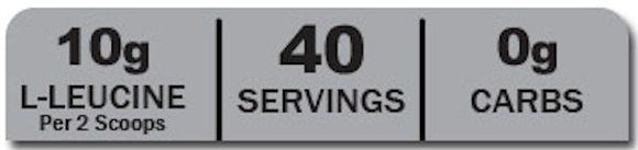 ANSI BCAA Watermelon ANSI BCAA 12400 40 servings