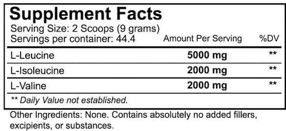 NutraKey BCAA Powder 400 gms fact