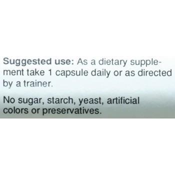 Body and Fitness Amino Acids low price supplement  L-Arginine & Ornitine 100 cap