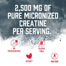 Biosteel Creatine 72 servings-3