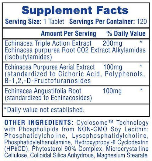 Echinacea Immune Health cold flu hi-tech fact