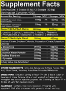 Repp Sports Recov-7 fact