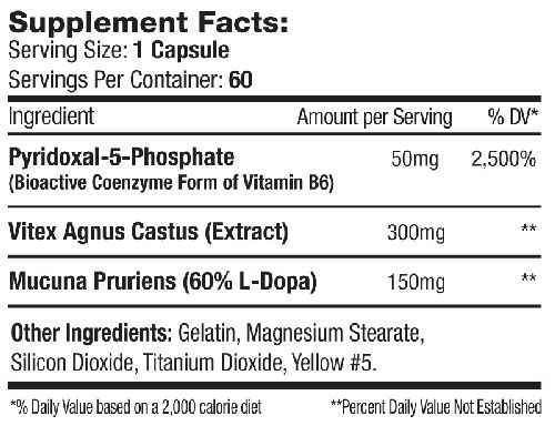 SNS Test Booster SNS Inhibit E and Inhibit P Stack